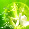 emam-hasan