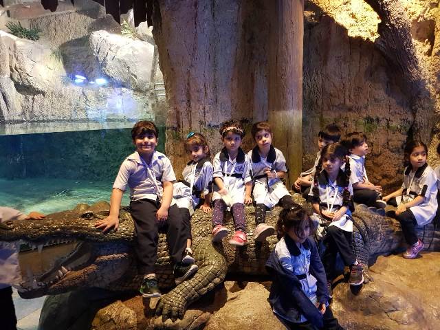 Trip to the Aquarium