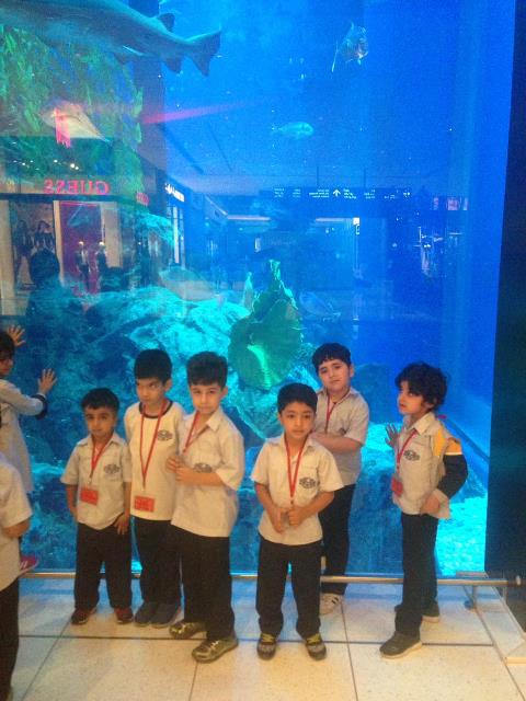 enjoying at Dubai Aquarium